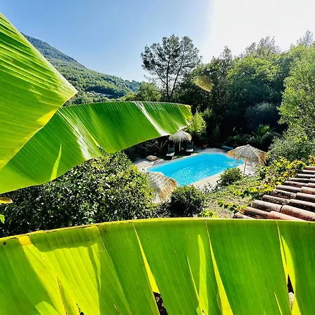Gîte Les Deux Roches Le Bar-sur-Loup Extérieur photo
